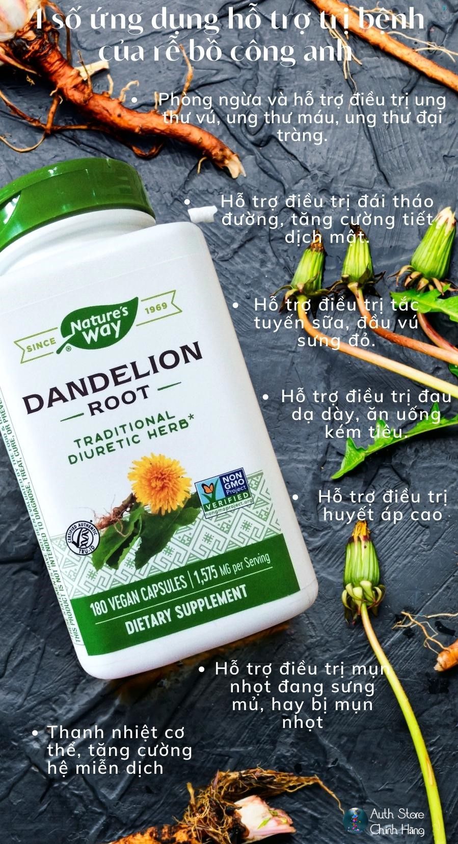 Rễ bồ công anh Dandelion Root Nature’s Way