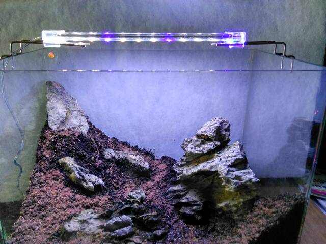 LAMPU LED AQUARIUM AQUASCAPE RECENT RCX J600