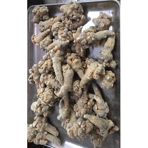 Củ Tam Thất Bắc 500gr Hàng 50 Củ/1Kg [củ 5 năm tuổi]