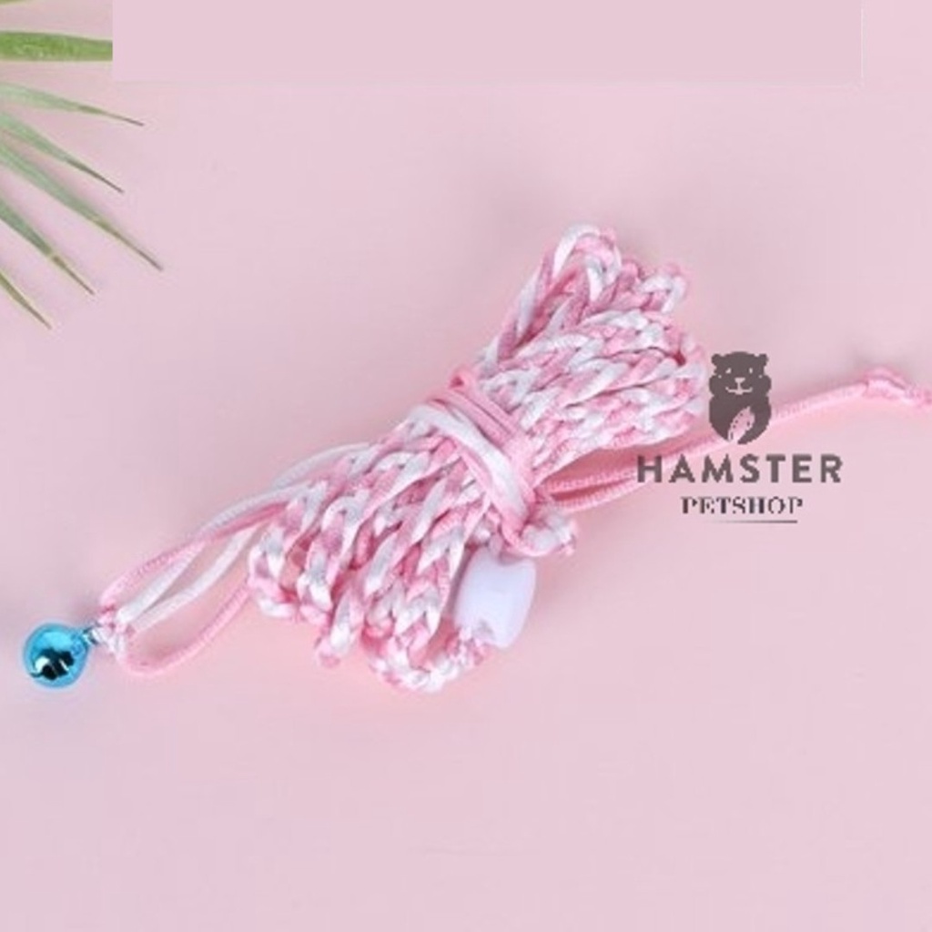Dây dắt hamster, , Sóc , đuôi mập, chuột lang