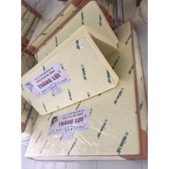 Nệm cao su gấp 3 thắng lợi 1mx2mx10cm , gấp gọn dễ di chuyển