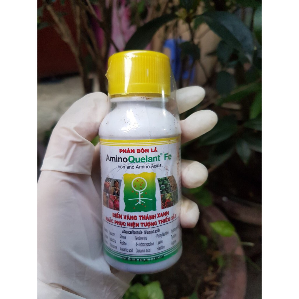 [HCM]Phân bón lá bổ sung sắt Amino Fe(Amino Quelant Fe) chai 100ml