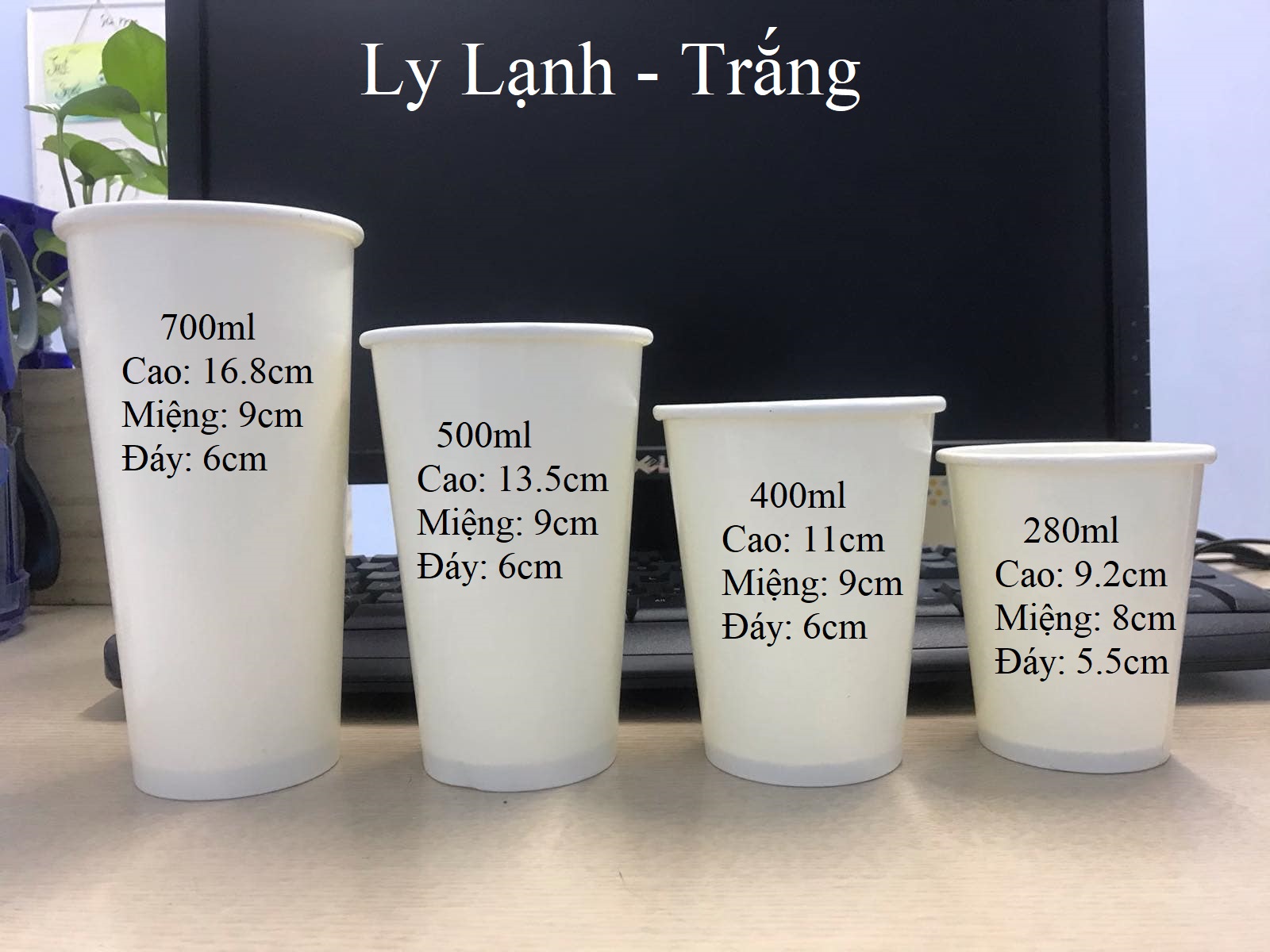 Ly giấy Kleur - Set 50 Ly lạnh 16oz EU 500ml - Trắng( Không nắp)