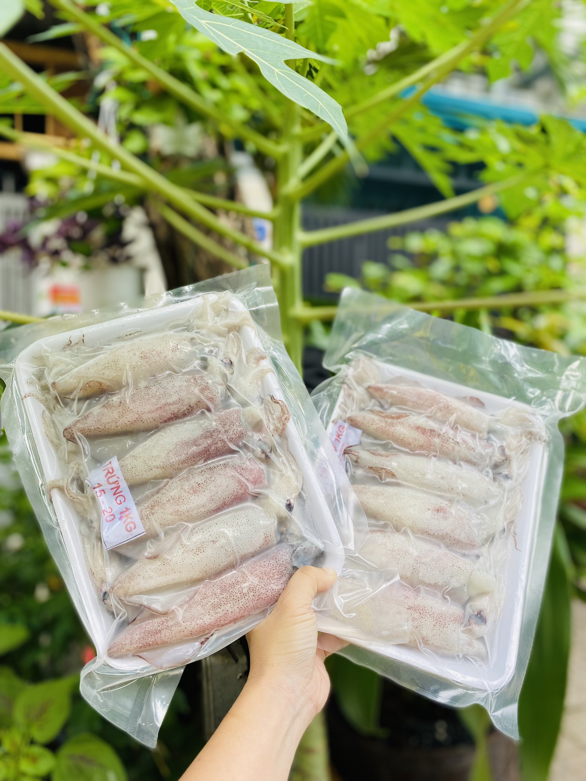 [GIAO NHANH 2H HCM] Giá sỉ 1kg Mực trứng cà mau