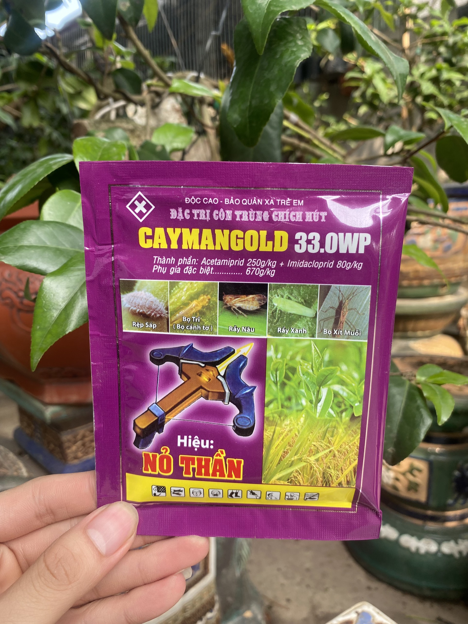 Đặc trị côn trùng chích hút caymagold – nỏ thần