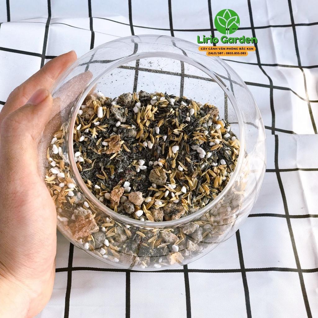 Đất trồng cây cảnh xương rồng , sen đá