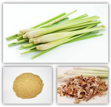BỘT SẢ KHÔ NGUYÊN CHẤT AMINOSHI