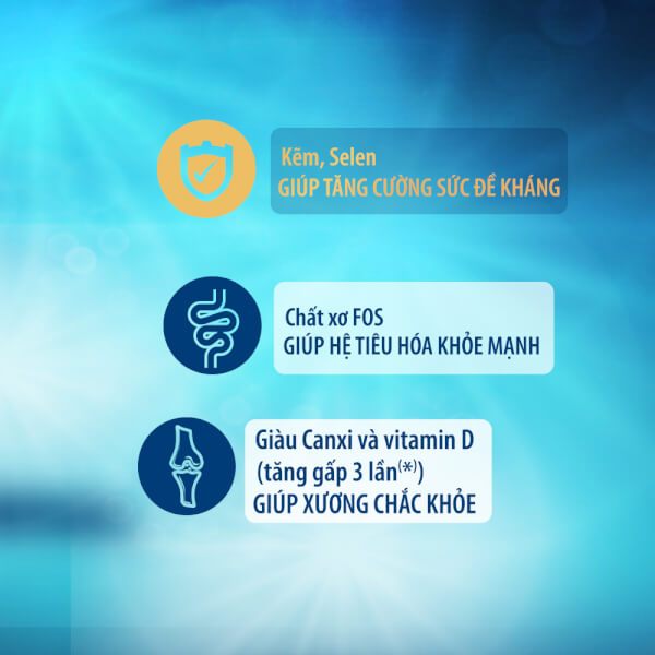 Combo 2 Lốc 6 chai Sữa nước Ensure Abbott 237ml/chai