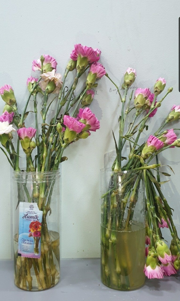 NƯỚC DƯỠNG HOA HUMIK GÓI 5ml