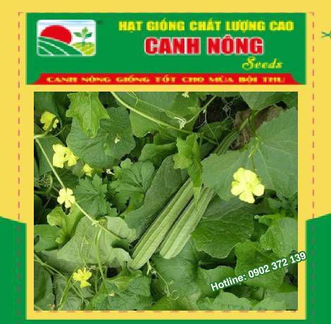 Hạt giống mướp khía 10 hạt