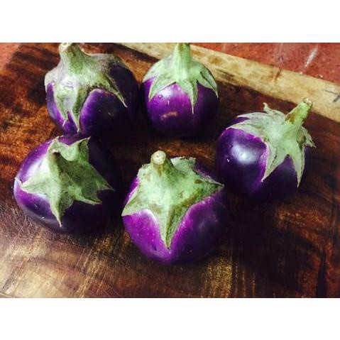 Hạt Giống Cà Bát Tím - H2T FARM
