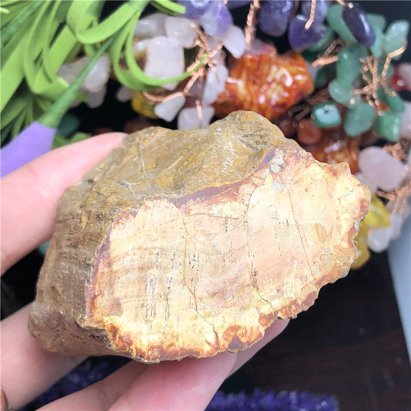 【KAMDSS015】Natural Petrified Wood Fossil Original Stone Raw Quartz Mineral Specimen Healing Reiki Home Decor.