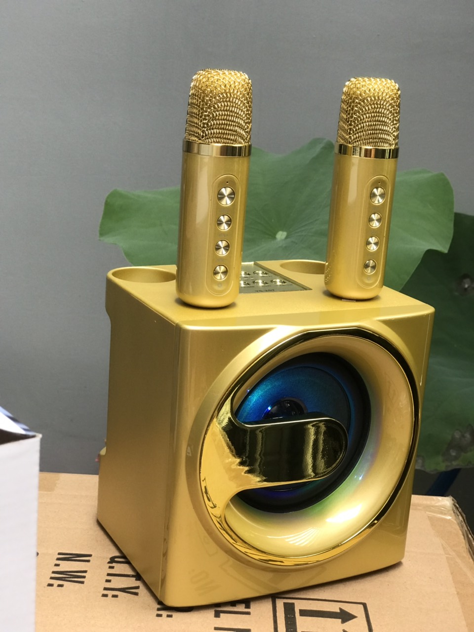 Loa Bluetooth Karaoke Su-Yord YS207 kèm 2 micro không dây