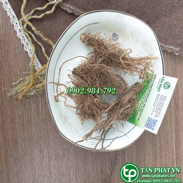 Rễ cây bồ công anh khô 500g - Tấn Phát