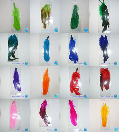 Lông vũ dài: lông cánh / lông đuôi dài khoảng 20 cm