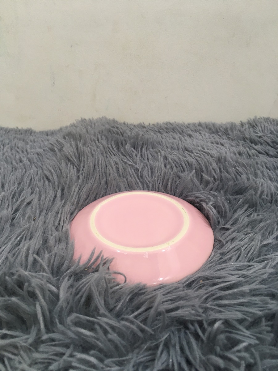 DĨA 11.5x1.5 CM - GỐM SỨ CƯỜNG PHÁT - HÀNG VIỆT NAM CHẤT LƯỢNG CAO