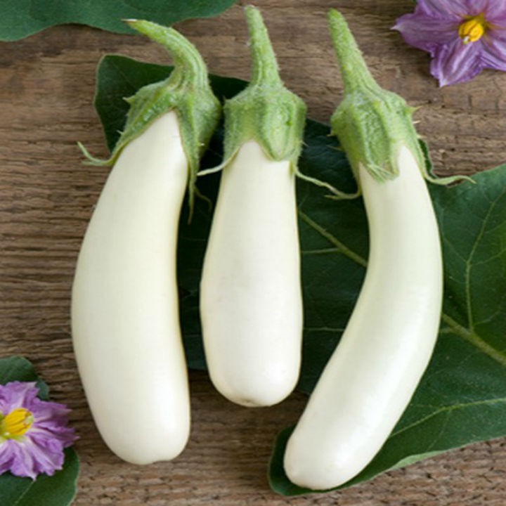 [Seeds] Hạt giống cà trắng dài RD225, đóng gói 0.2gr - 0.5gr (khoảng 40 -100 hạt)