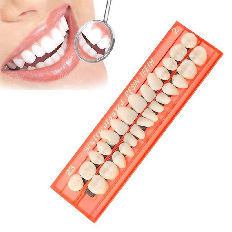 💖【New Production】 28Pcs/Set Resin Teeth Teaching Model Universal False Teeth Dental Material Teeth