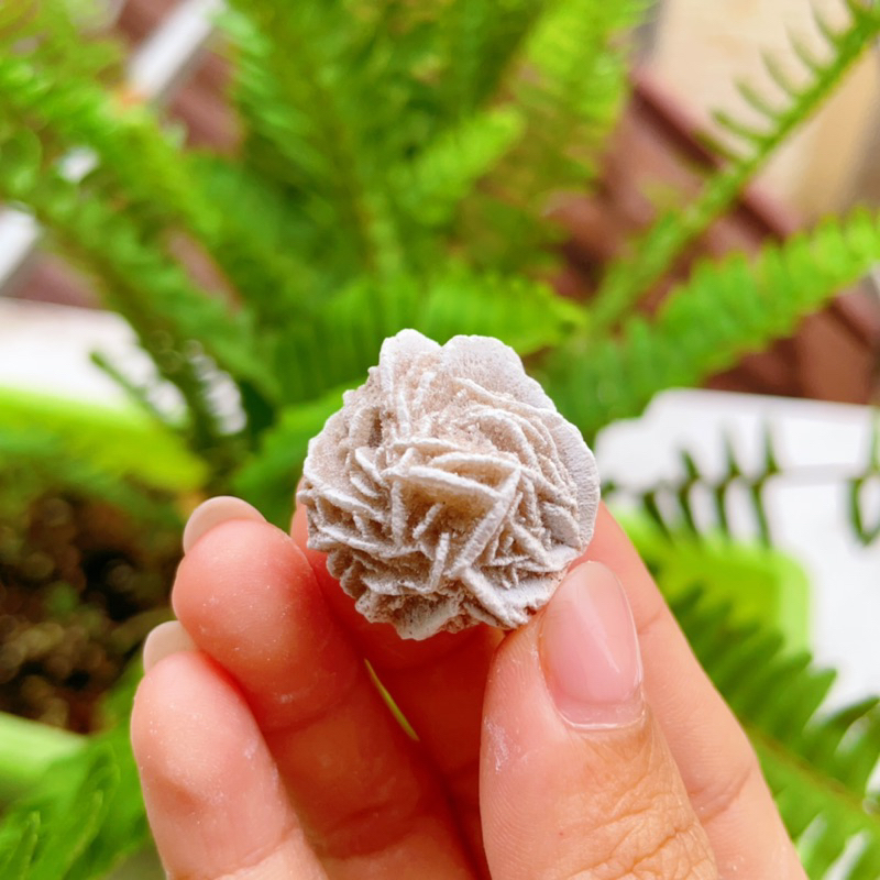 Hoa hồng sa mạc (Desert Rose) viên lẻ, Tinh thể đá