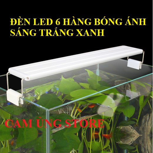 Đèn led 6 hàng bóng siêu sáng cho bể cá bể thủy sinh- đèn led sáng giá rẻ