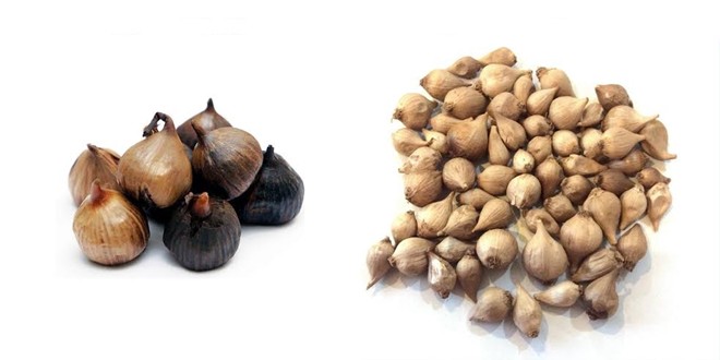 Sỉ 5kg Tỏi Cô Đơn BÒ ĐỘI NÓN