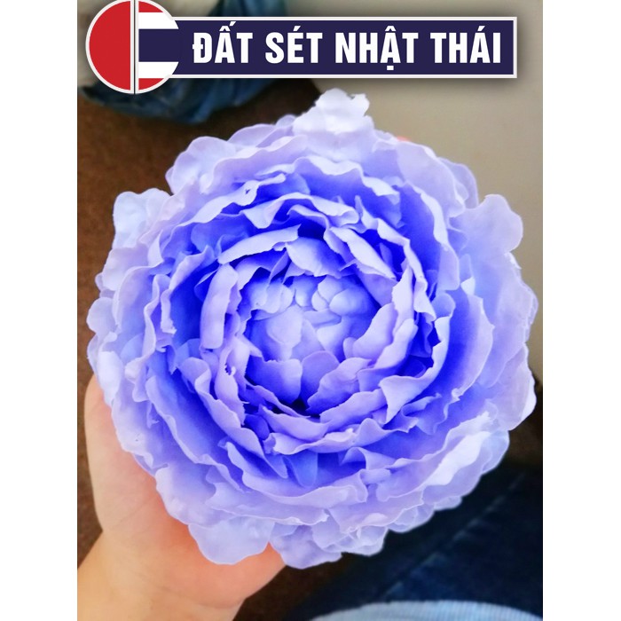 Đất Sét NHẬT THÁI SIÊU NHẸ LÀM HOA ĐẤT SÉT CHUYÊN NGHIỆP