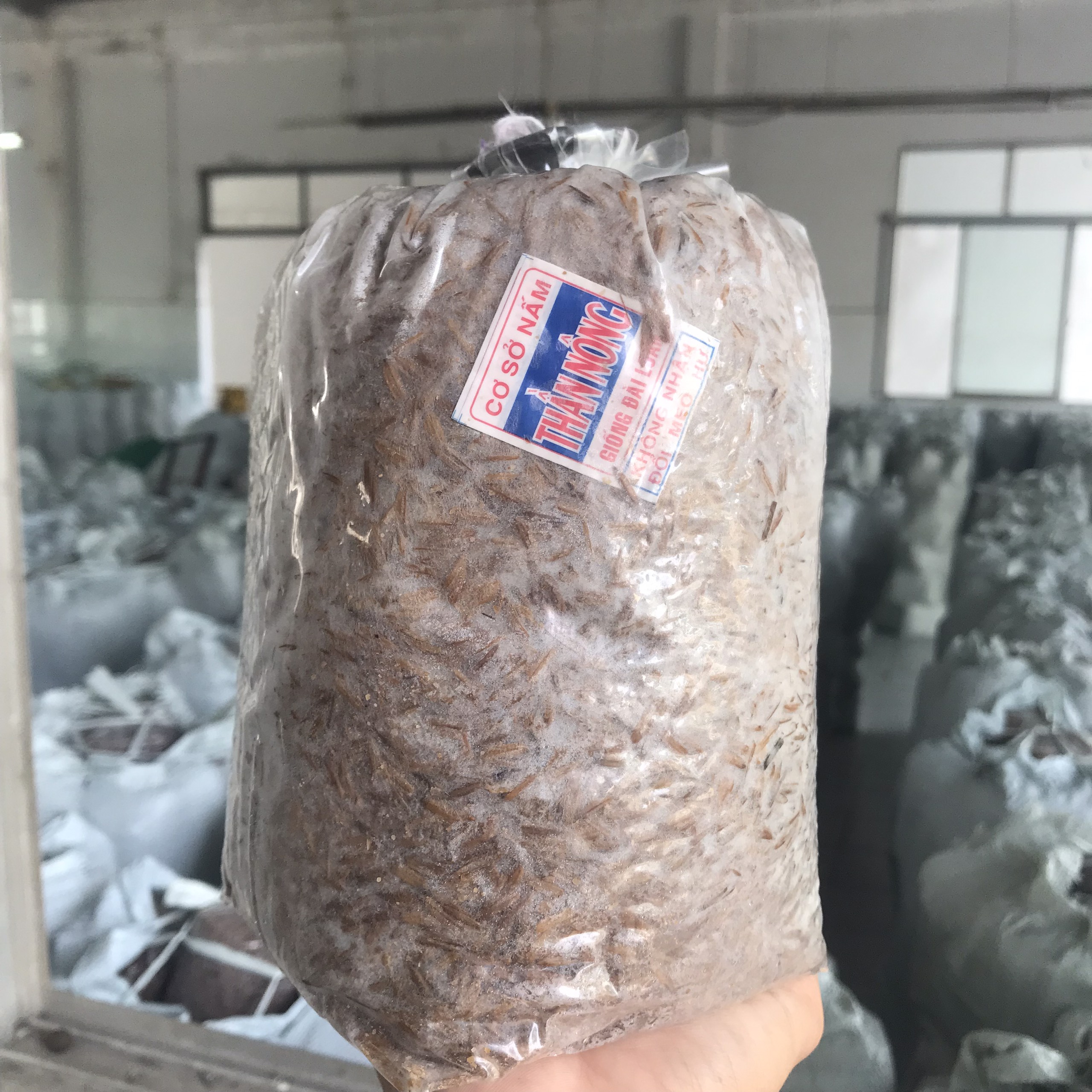 Combo 5 Meo Nấm Rơm Thần Nông (550g)