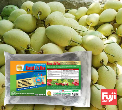 Phân bón hữu cơ Combi Life Tiva 2kg