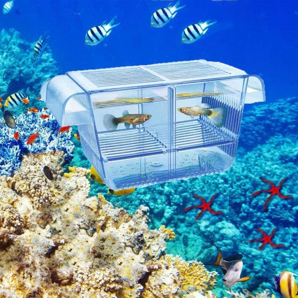 Clownfish%20Transparent%20Incubator%20with%20Suction%20Cups%20Isolation%20Fish%20Baby%20Hatchery%20Fish%20Isolation%20Box%20Aquarium%20Breeder%20Box%20Fish%20Breeding%20Box%20-%20Image%203