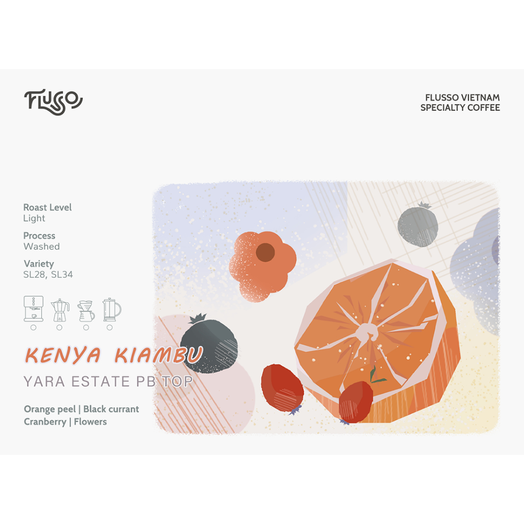 Kenya Kiambu Yara Estate PB TOP~