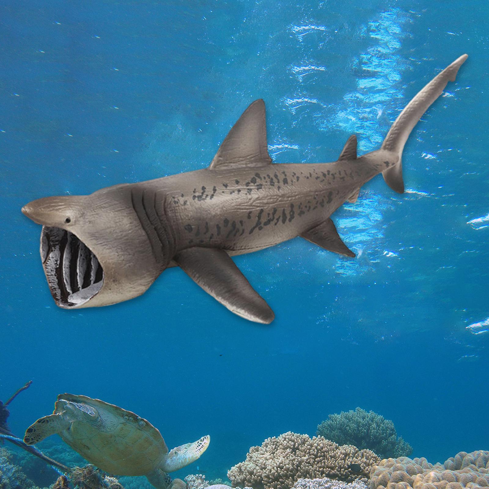 Gispark Realistic Basking Sharks Model Cognitive Early Learning Marine Creatures Figures Collection for Decorations Home Learning Party