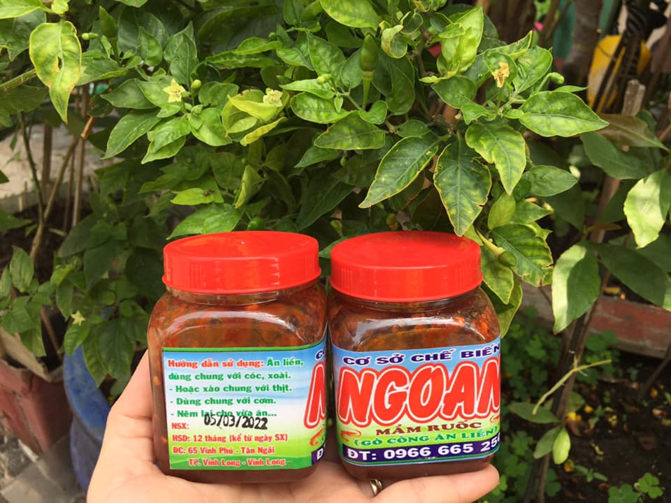Ngoan