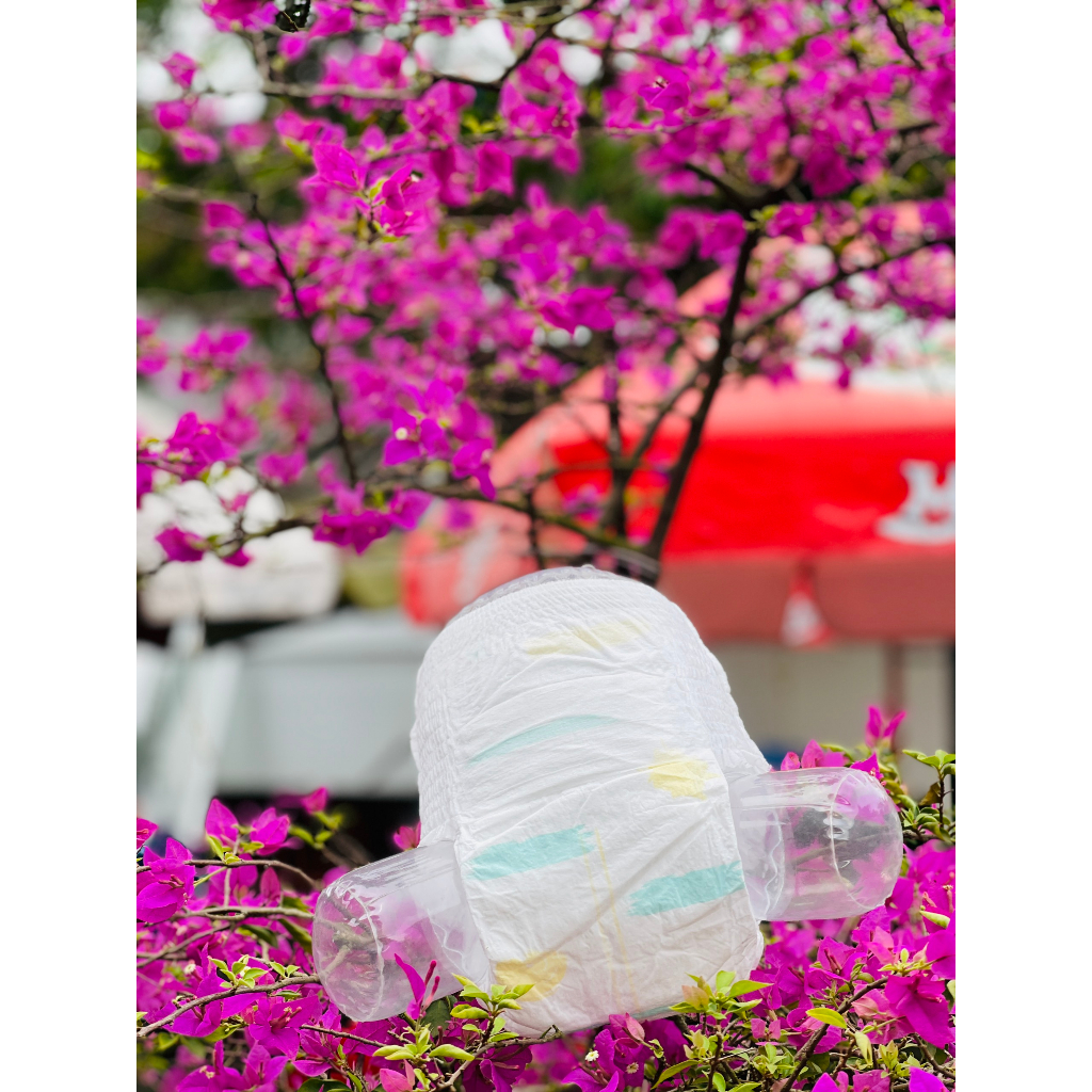 Bỉm quần RUBY size M100/L100/XL100/XXXL100