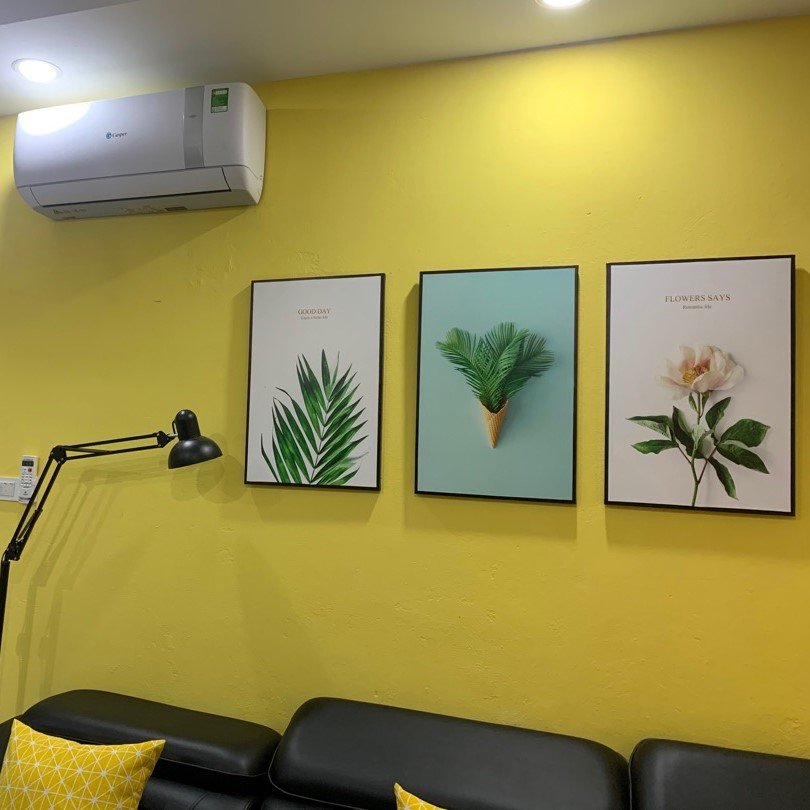 Bộ 3 bức tranh treo tường đơn giản thanh lịch