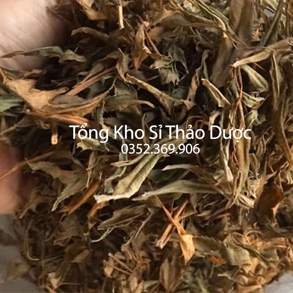 Lá đinh lăng khô 100g