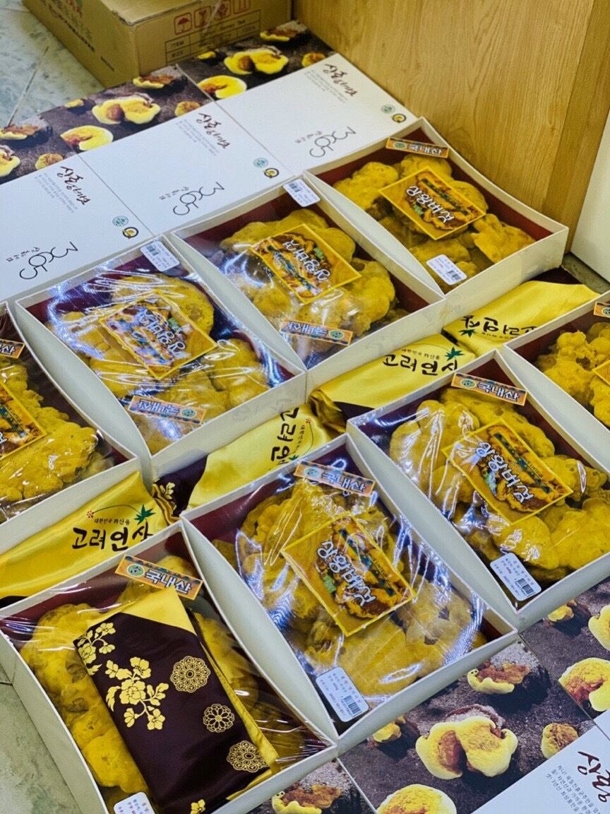Nấm Linh Chi Thượng Hoàng Hàn Quốc