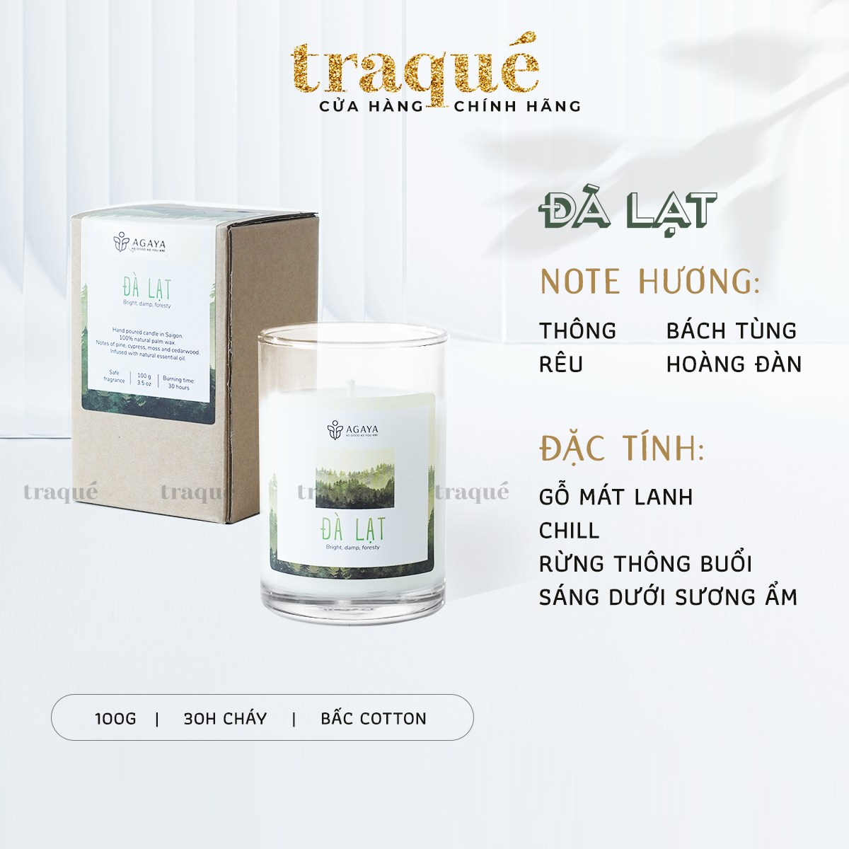 Nến thơm Agaya/Candle Cup - Hương Gỗ ĐÀ LẠT