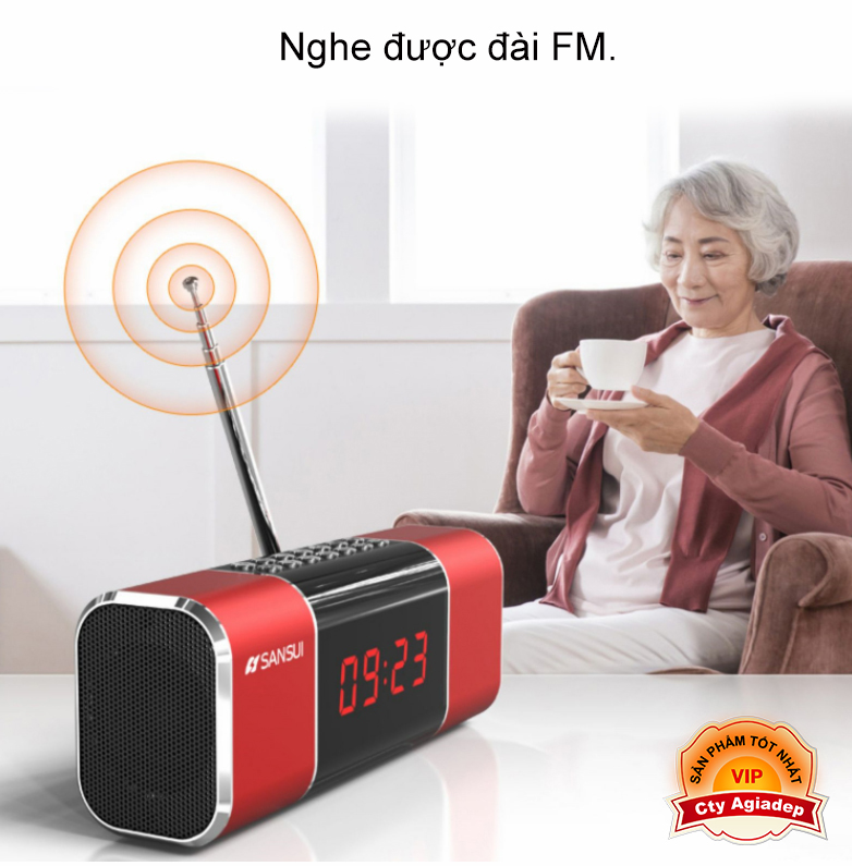 Loa bluetooth hàng hiệu SANSUI Nhật Bản D11