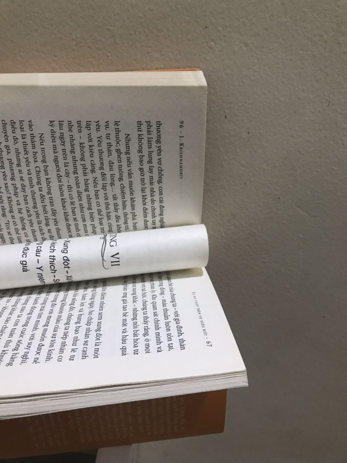 NetaBooks - Tự Do Vượt Trên Sự Hiểu Biết