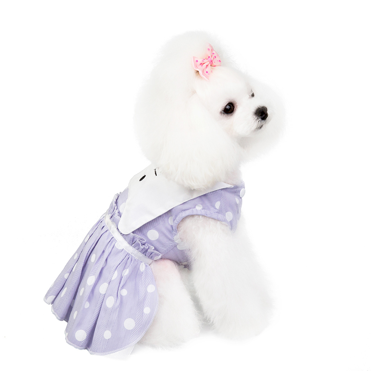Polka Dot Dress for Dogs and Cats - T3 Pets Shop