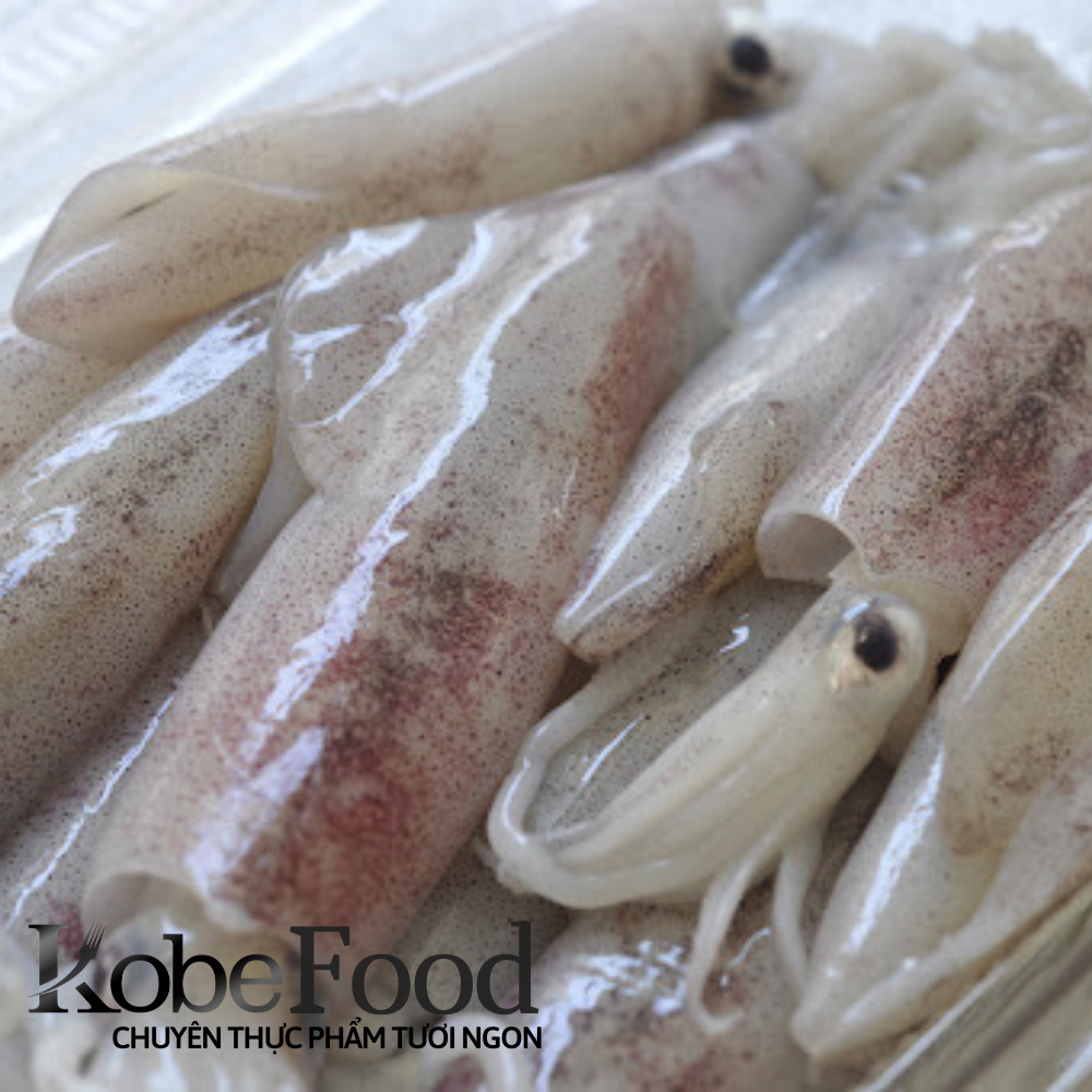 Bắp Bò 500gr - Mực trứng 1kg  Combo  [Chỉ giao TP.HCM] (NET: 0.6kg)