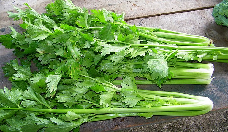 Cần Tây 500G Kamereo