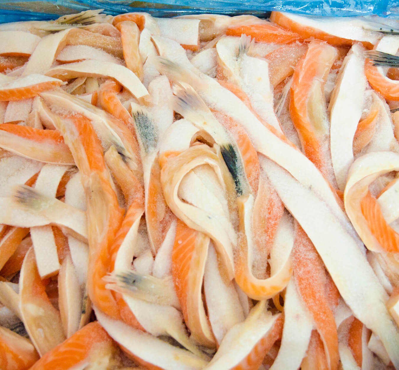 [ HỎA TỐC -HCM ]  Lườn cá hồi đóng khay 500gram