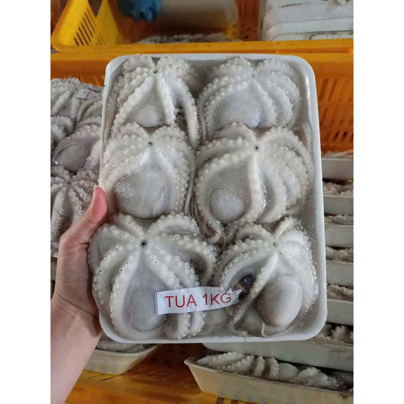 Bạch tuộc sữa baby 500g