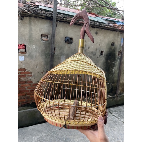 LỒNG CU GÁY QUẢ ĐÀO cao cấp