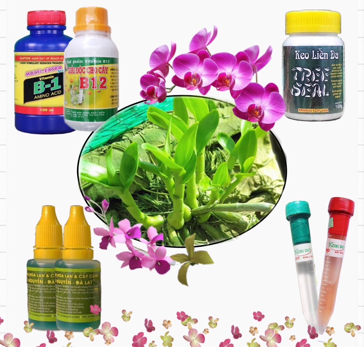 Combo kích ki cho Phong lan 7 sản phẩm