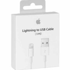 Authentic Apple Lightning Cable