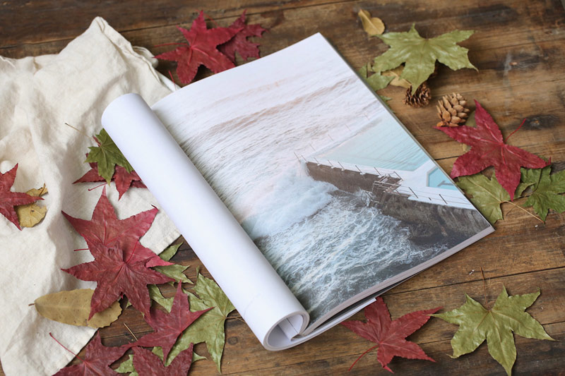 Natural%20Maple%20Leaf%20Dry%20Leaves%20Autumn%20Fall%20Foliage%20Red%20Color%20For%20Photography%20Props%20Photo%20Studio%20Accessories%20Decoration%20-%20Image%206