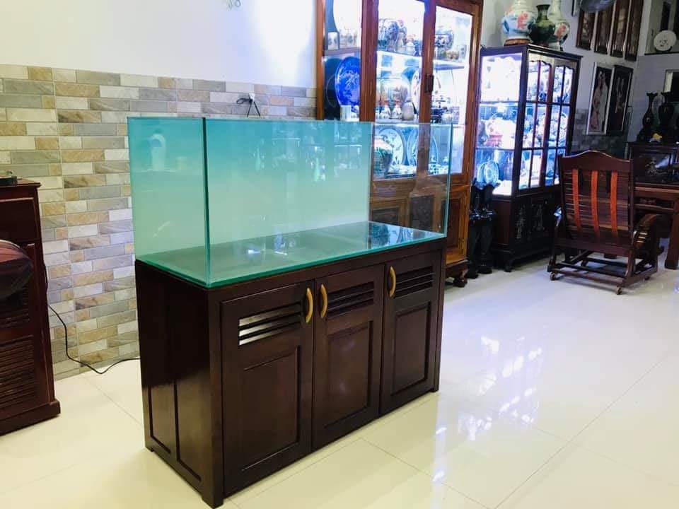 Phông Nền Bể Cá - Decal ADA , BACkground Aquarium fish tank