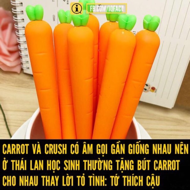Bút mực cà rốt cực yêu tặng crush